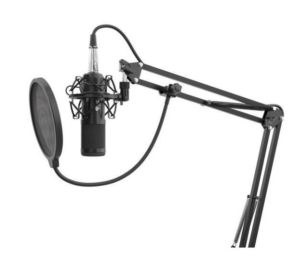 Genesis Mikrofon Radium 300 Studyjny XLR - 1077318 - zdjęcie